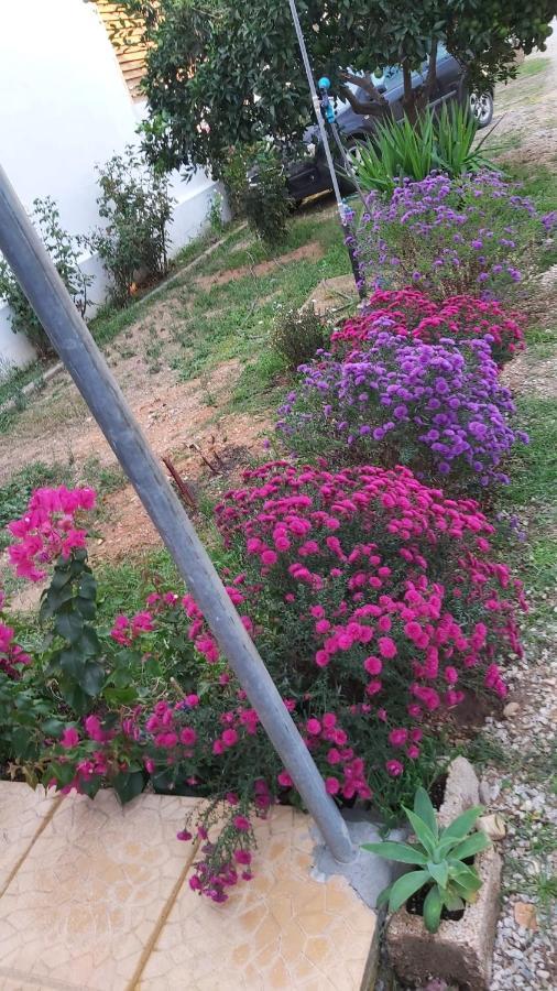 דירות פסאקודיה Annas House מראה חיצוני תמונה