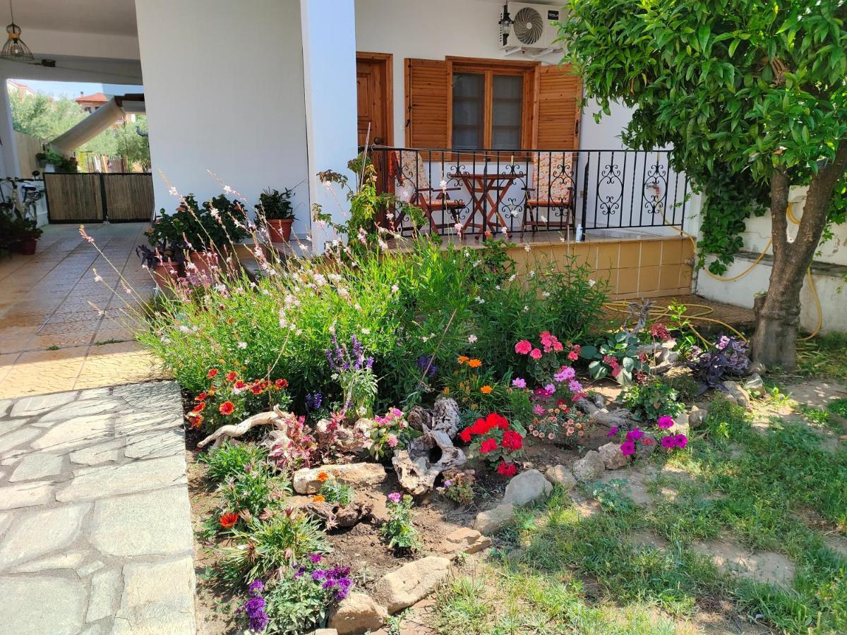 דירות פסאקודיה Annas House מראה חיצוני תמונה