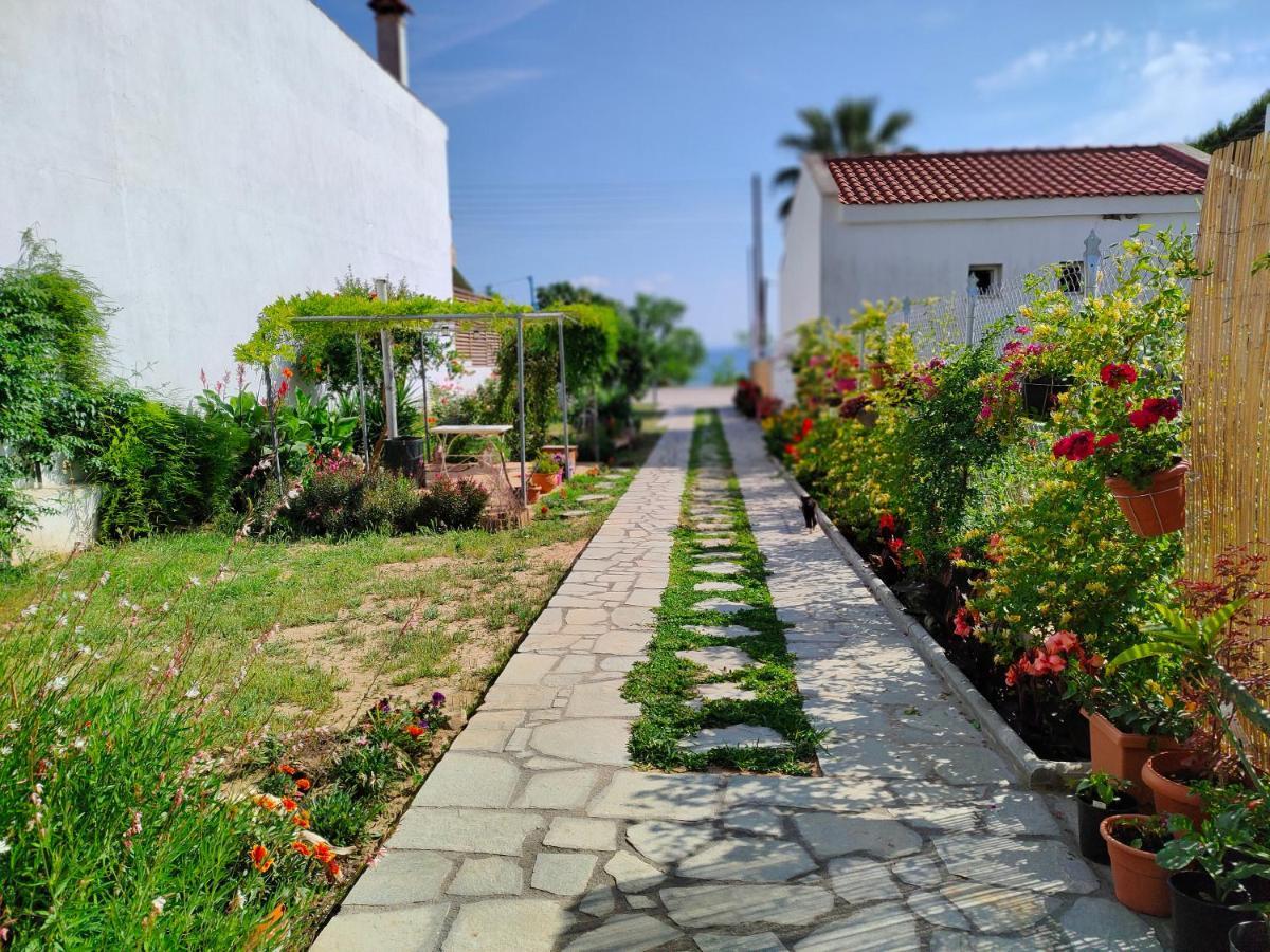 דירות פסאקודיה Annas House מראה חיצוני תמונה
