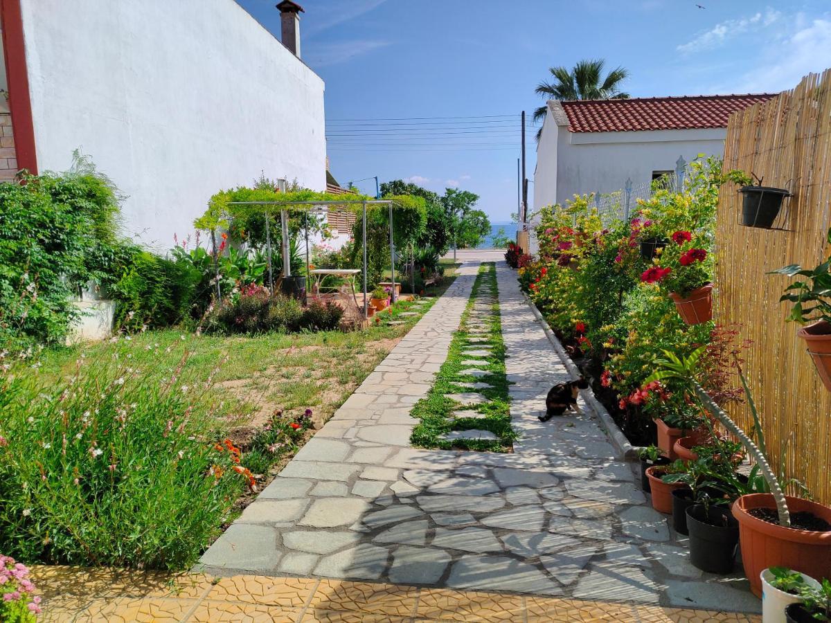 דירות פסאקודיה Annas House מראה חיצוני תמונה